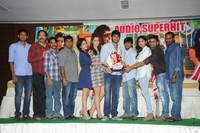 Joru Movie Audio Sucess Meet Photos